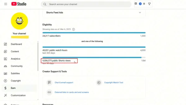 Channel monetization stats showing subscriber and view counts